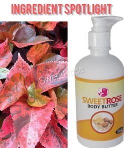 Alternative view of SweetRose Body Butter (500ml)